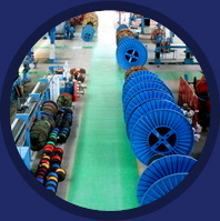 m6平台在线登录