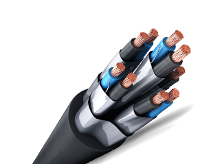 m6平台在线登录